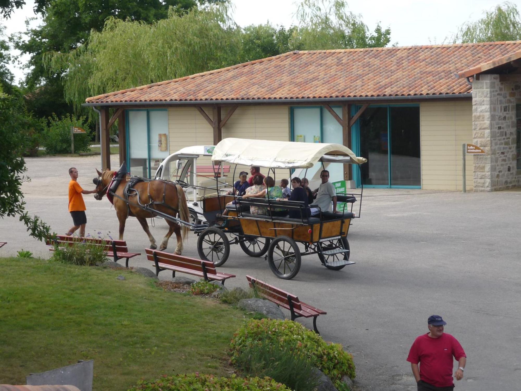 Pescalis Residence Les Maisons Du Lac モンクタン エクステリア 写真